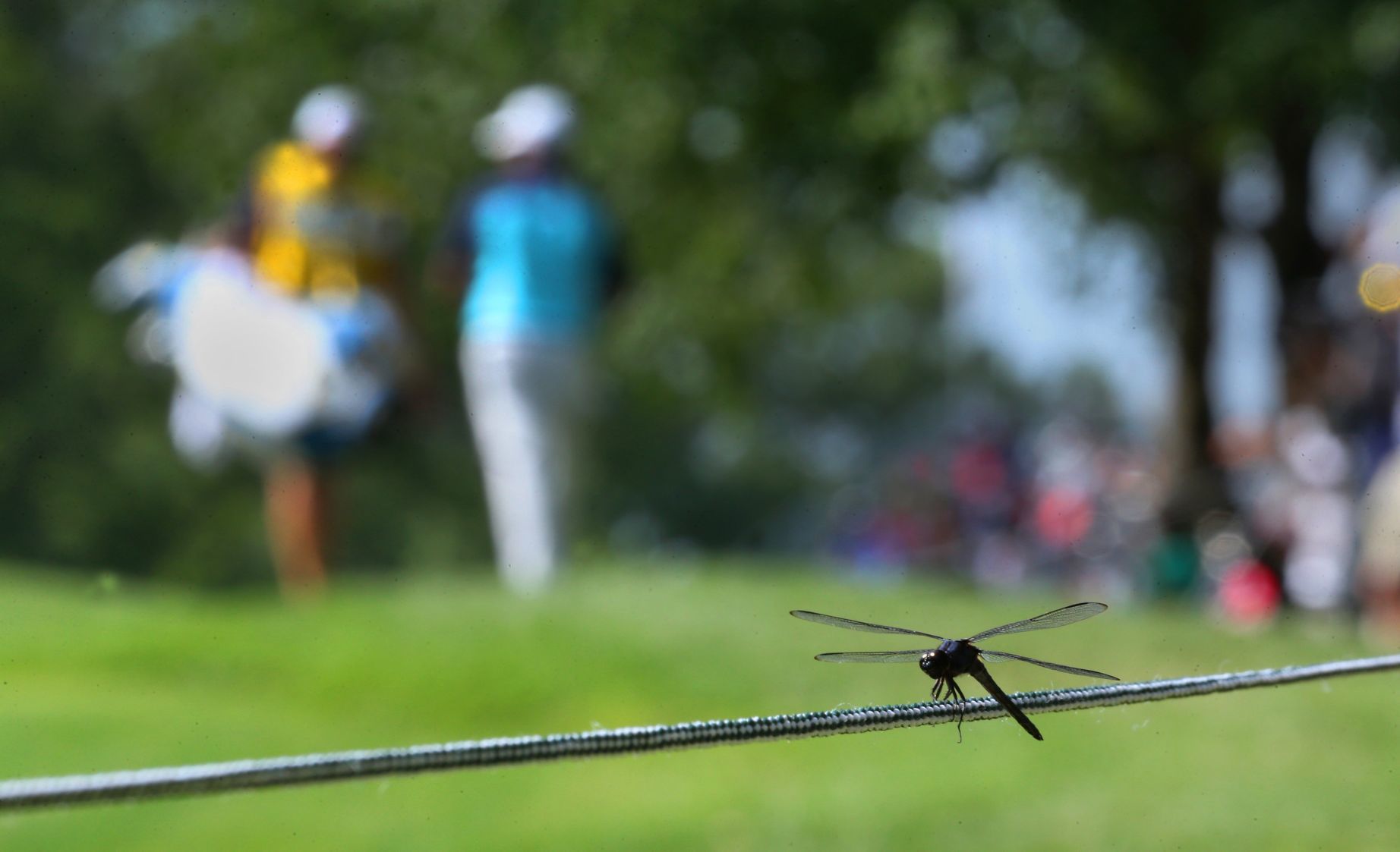100th PGA Championship at Bellerive begins